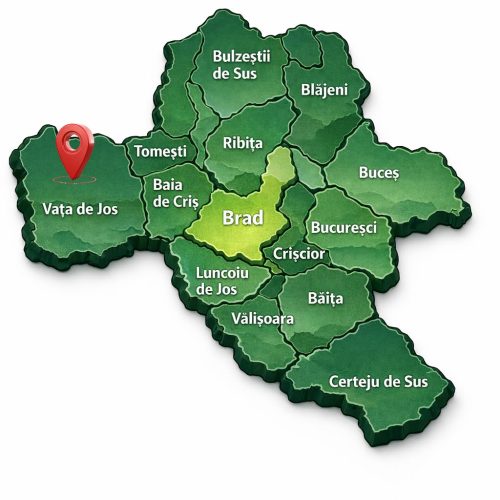 Activitate de animare și informare – Comuna Vața de Jos